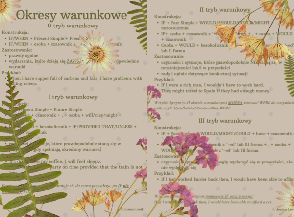 Okresy warunkowe | Conditionals