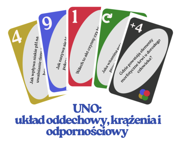 UNO układ oddechowy, krążenia, odporność