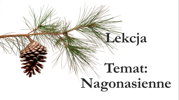 Nagonasienne - klasa 5 - prezentacja