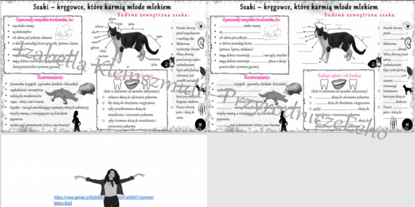 Mini zestaw do tematu „Ssaki – kręgowce, które karmią młode mlekiem” – sketchnotka i karta pracy w pdf + gratisowy link do prezentacji multimedialnej niekomercyjnej wykonanej w genial.ly do indywidualnego pobrania i użycia do celów niekomercyjnych. Biolo