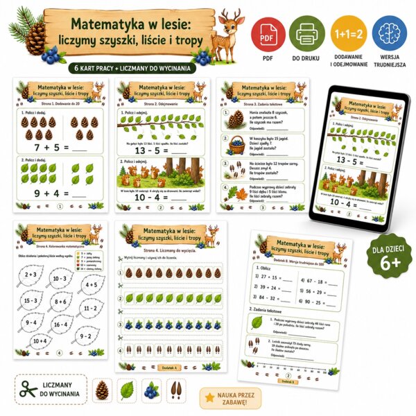 Matematyka w lesie: liczymy szyszki, liście i tropy