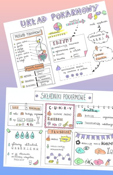 Układ pokarmowy + składniki pokarmowe - klasa 4