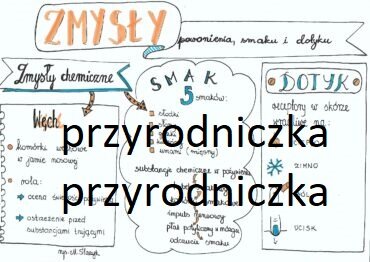 Klasa 7. Biologia. Zmysły