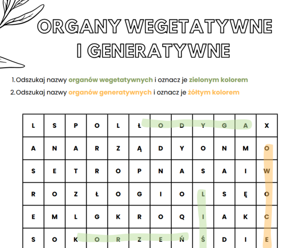 Organy wegetatywne i generatywne roślin (liście, łodyga, korzeń, owoce, kwiat)