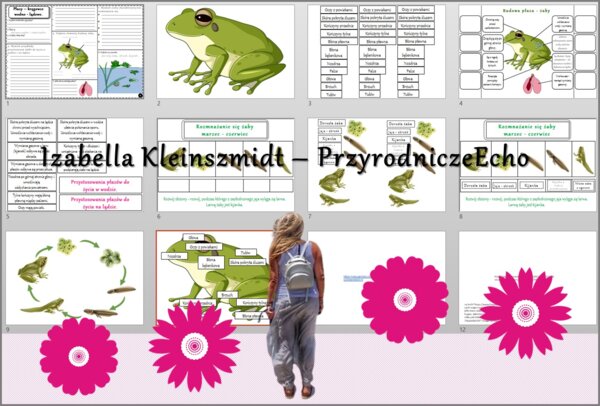 Pomysł na lekcję/karta pracy/stacje zadaniowe/ materiał do lekcji do tematu „Płazy – kręgowce wodno-lądowe” w pdf. W gratisie niekomercyjny scenariusz lekcji/pomysł na lekcję w programie genial.ly do edycji. Biologia 6. Dział „Kręgowce zmiennocieplne”.