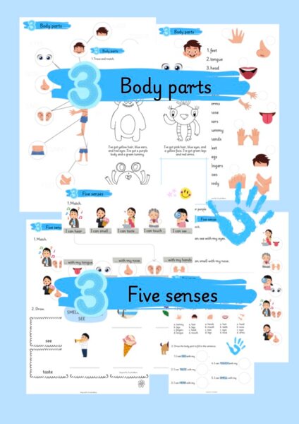 Body parts and five senses.