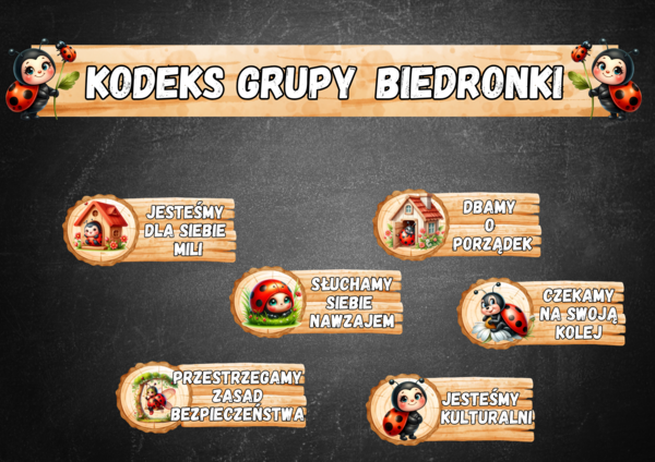 KODEKS GRUPA BIEDRONKI
