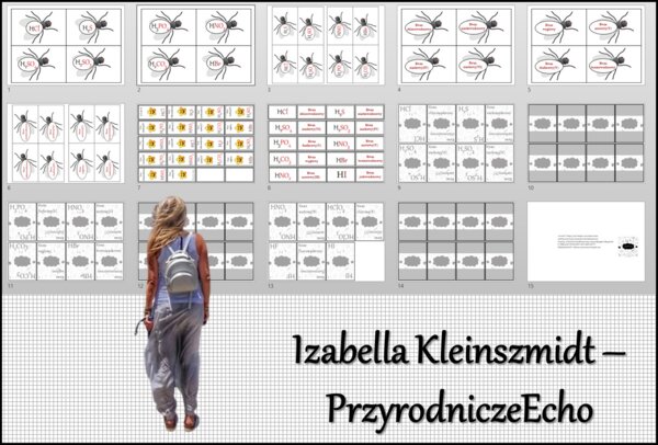Gry (muchy, układanka, domino, Piotruś – gra karciana) „Wzory i nazwy kwasów”, w pdf. Chemia 7 i 8 , dział „Kwasy”. Materiał wykonany na podstawie podręcznika z wydawnictwa MAC – nowość 2024/2025.