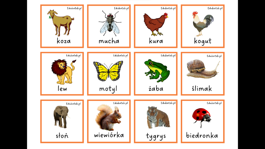 Gra typu memory – utrwalanie czytania