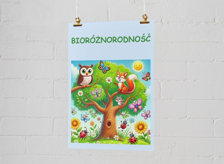 Bioróżnorodność. Rożne typy ekosystemów (łąka, lasy, wody słodkie, morza).