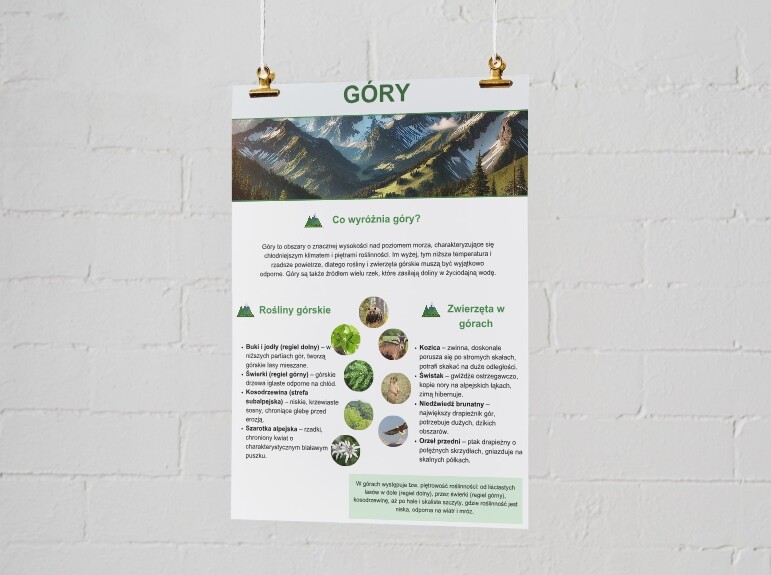 Plakaty o ekosystemach. Las, łąka, jezioro, morze, góry.