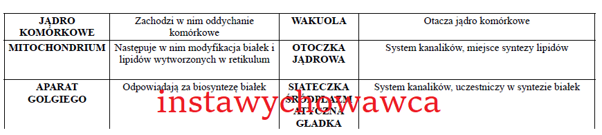 Organella komórkowe-domino