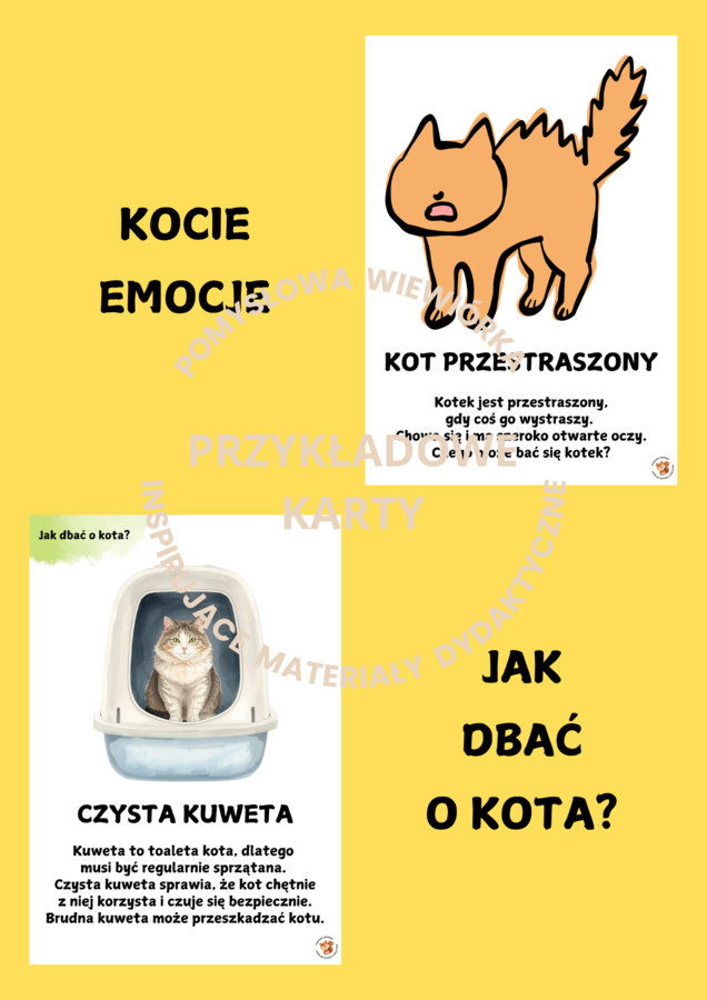 🐱 DZIEŃ KOTA