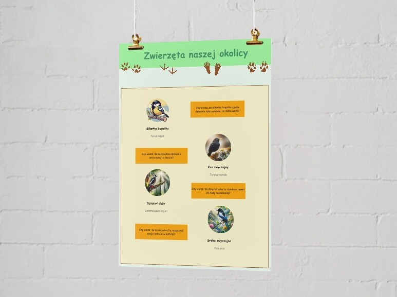 Plansze edukacyjne. Gatunki zwierząt, roślin i grzybów występujących lokalnie.