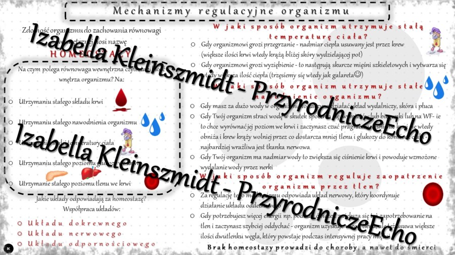 Sketchnotka - notatka „Równowaga wewnętrzna organizmu-homeostaza” wykonana w power point do edycji. Biologia 7; „Równowaga wewnętrzna organizmu”