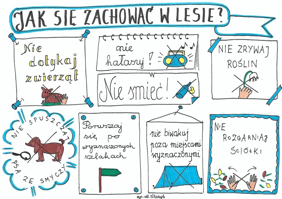 Jak się zachować w lesie?