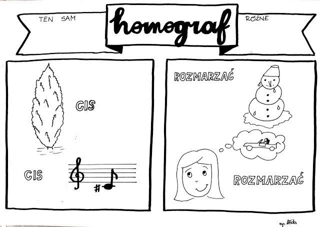 Język polski. Homografy