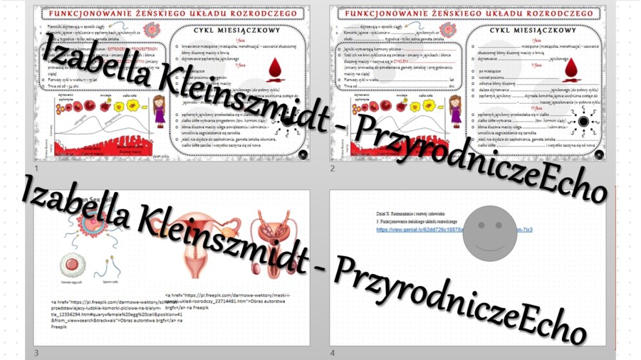 Minizestaw na temat „Funkcjonowanie żeńskiego układu rozrodczego” – sketchnotka + karta pracy w power point + gratisowy link do prezentacji multimedialnej niekomercyjnej wykonanej w genial.ly do indywidualnego pobrania i użycia do celów niekomercyjnych. 