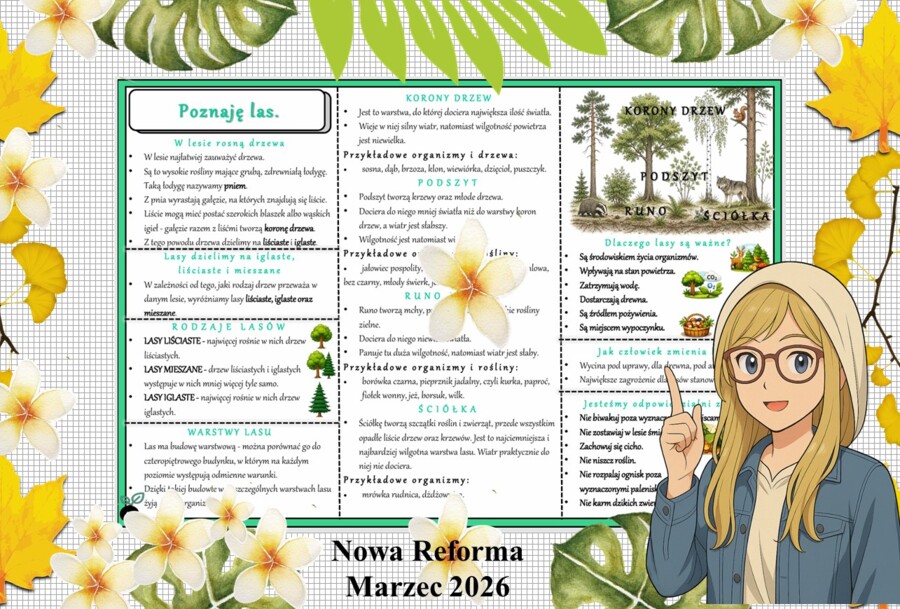 Sketchnotka/notatka - dla ucznia i przypomnienie dla nauczyciela w pdf. Temat "Poznaję las". Przyroda 4. "Odkrywam przyrodę" zgodna z wydawnictwem Nowa Era. Dział "Życie na lądzie".