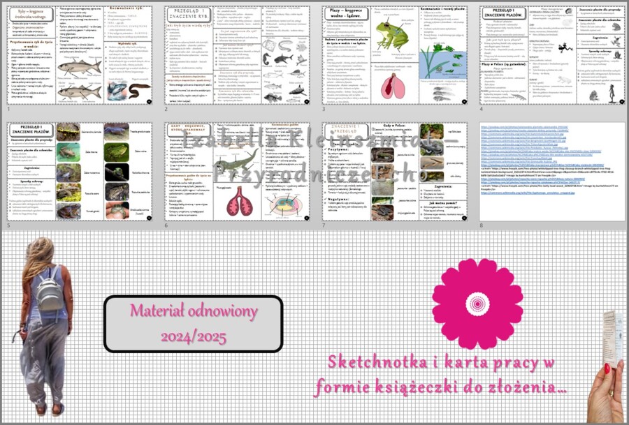 Zestaw sketchnotek/książeczek/notatek/wklejek/ściąg dla ucznia i przypomnień dla nauczyciela/edukacja domowa w pdf do całego działu. Biologia 6, dział „Kręgowce zmiennocieplne”. Nowość 2024/2025.