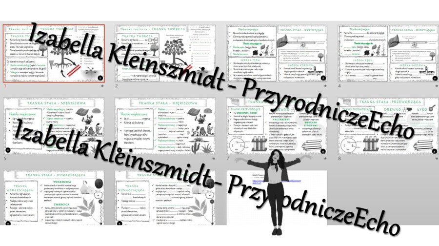 Mini zestaw do tematu „Tkanki roślinne” – 12 x sketchnotek i kart pracy + gratisowy link do prezentacji multimedialnej niekomercyjnej wykonanej w genial.ly do indywidualnego pobrania i użycia do celów niekomercyjnych. Biologia klasa 5, dział IV „Tkanki i