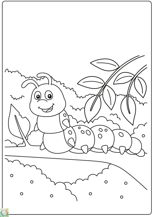 ZWIERZĘCE KOLOROWANKI