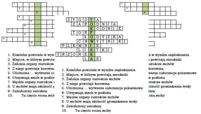 Logogryf na podsumowanie lekcji w klasie 5 o mchach