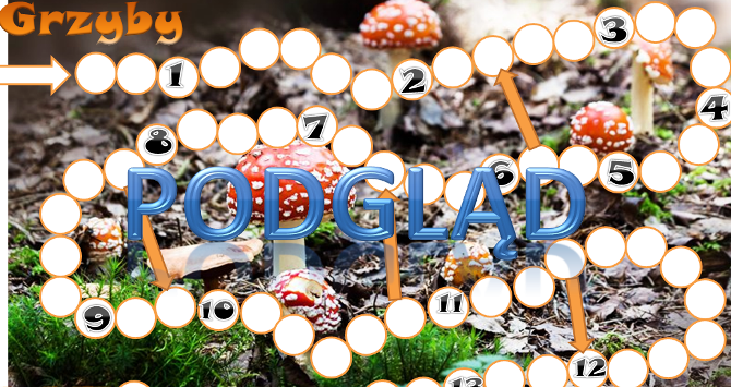 Grzyby- gra planszowa