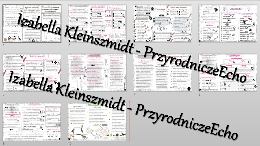 Zestaw sketchnotek – notatek do całego działu „Ekologia” wykonanych w power point do edycji. Biologia 8