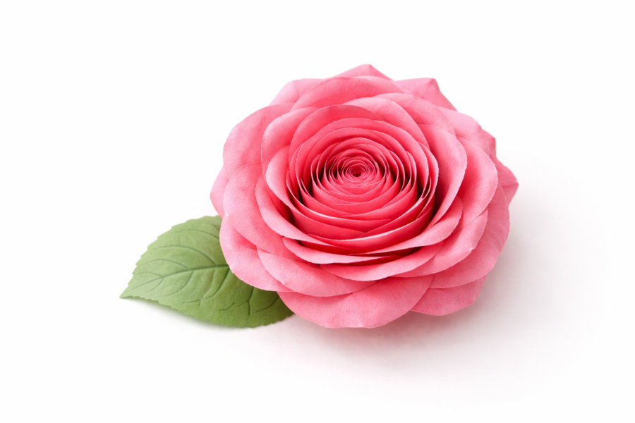 Papierowa róża spiralna [Instrukcja]