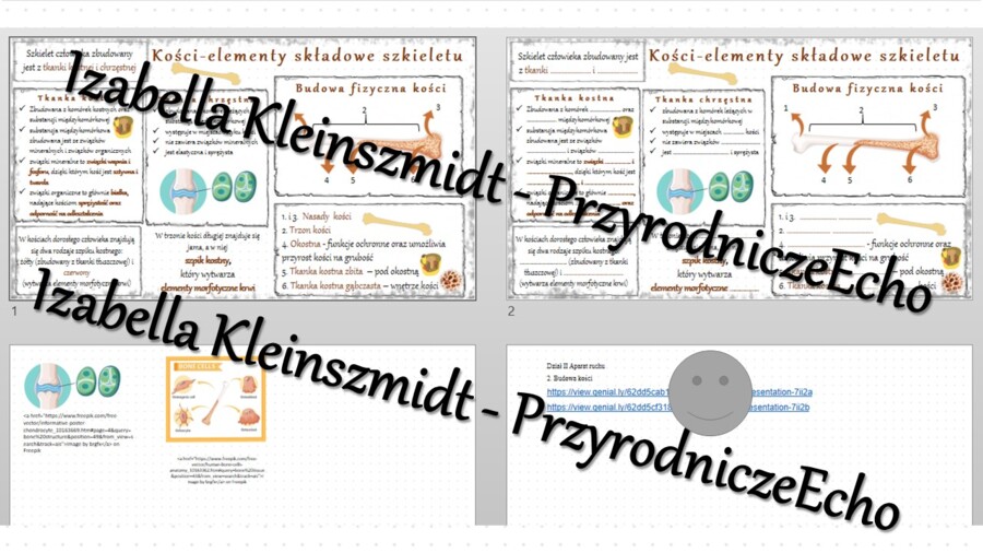 Minizestaw na temat „„Budowa kości” – sketchnotka + karta pracy w power point + gratisowy link do prezentacji multimedialnej niekomercyjnej wykonanej w genial.ly do indywidualnego pobrania i użycia do celów niekomercyjnych. Biologia 7, „Układ ruchu”