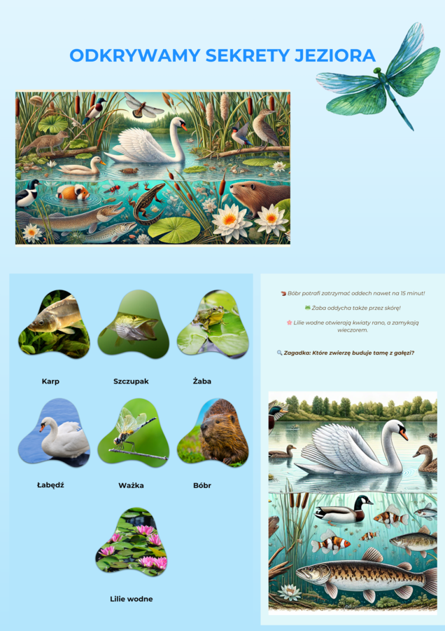 Plansze z ekosystemami (Las, łąka, jezioro)