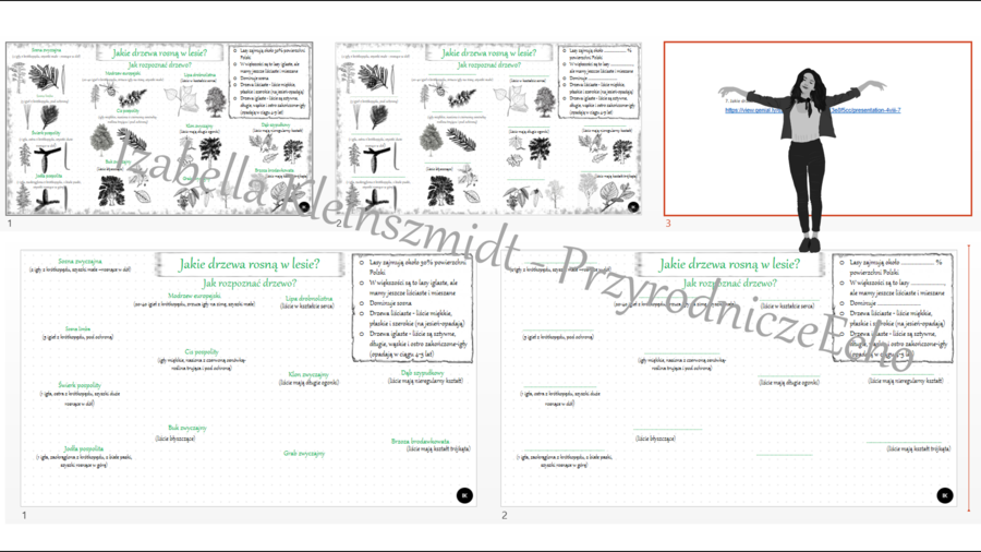 Mini zestaw do tematu „Jakie drzewa rosną w lesie?” – sketchnotka i 2 x karta pracy w pptx do edycji + gratisowo: wzór sketchnotki w pdf i link do prezentacji multimedialnej niekomercyjnej wykonanej w genial.ly do indywidualnego pobrania i użycia do celó