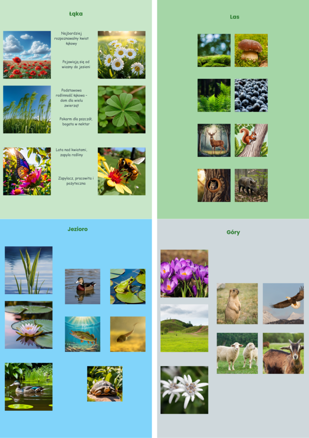 Tablice edukacyjne. Zwierzęta. Ptaki w Polsce. Gatunki grzybów. Zasady segregacji śmieci. Naturalne siedliska.
