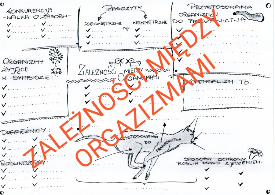RELACJE MIĘDZY ORGANIZMAMI