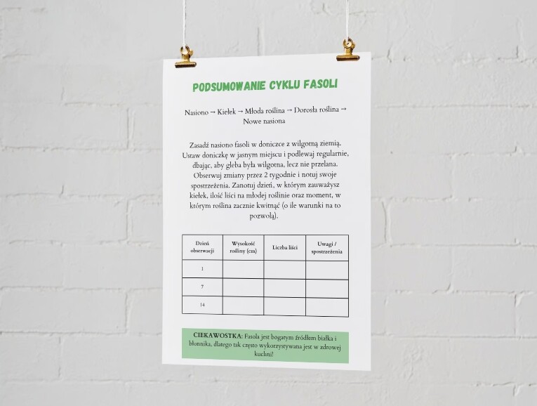 Plakaty edukacyjne. Cykl życia fasoli (etap 1: nasiono, etap 2: kiełek, etap 3: młoda roślina, etap 4: dorosła roślina). Jak segregować śmieci? Kolorowe kosze i co do nich wrzucamy? Najczęstsze błędy i odpady nietypowe.