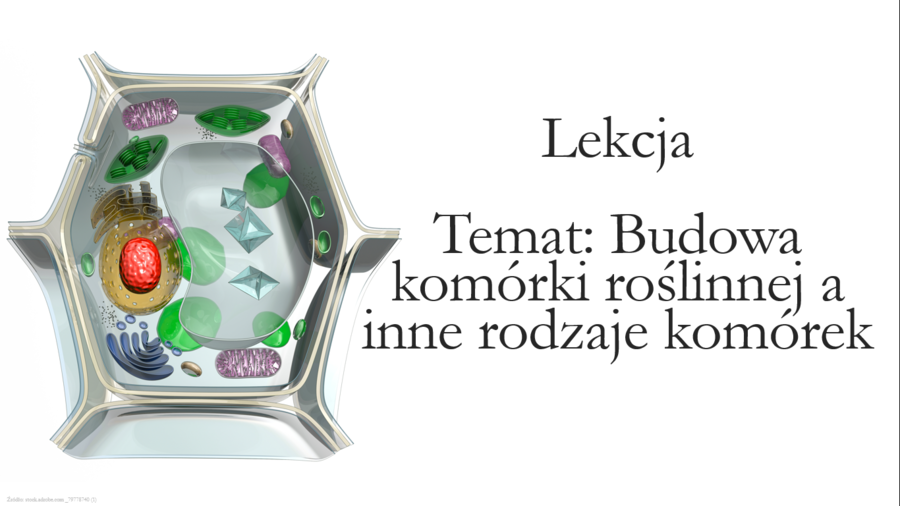 Klasa 5 - Budowa komórki roślinnej, bakteryjnej, grzybowej - prezentacja
