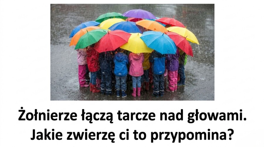 Historia 4 - Imperium rzymskie - rozdział 15.1-  GWO 26/27