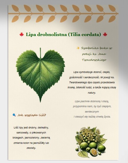 Mini-zielnik. Drzewa z poezji ks. Twardowskiego