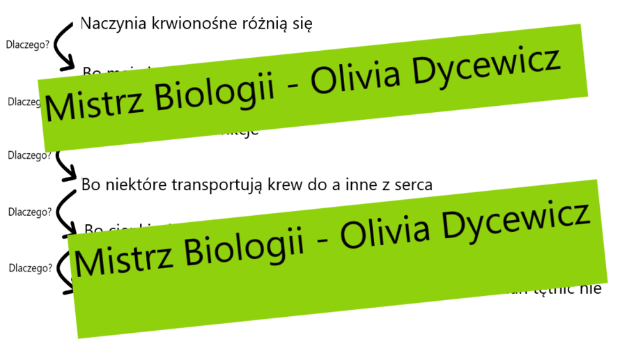 5x dlaczego - myślenie krytyczne - Naczynia krwionośne