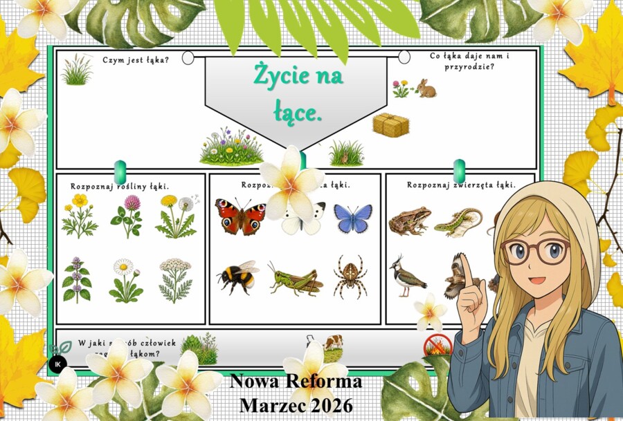 Karta pracy z przyrody do klasy 4 "Życie w lesie". Przygotowana na podstawie podręcznika „Odkrywam przyrodę” wydawnictwa Nowa Era. Dział "Życie na lądzie".