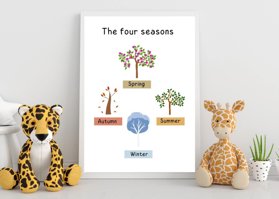 🧑‍🏫Zestaw 12 Plakatów Edukacyjnych w j.angielskim ❤️ Format A3 & A4