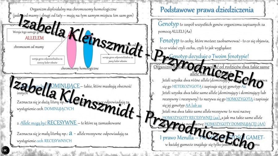 Sketchnotka - notatka „Podstawowe prawa dziedziczenia” wykonana w power point do edycji. Biologia 8; „GENETYKA”