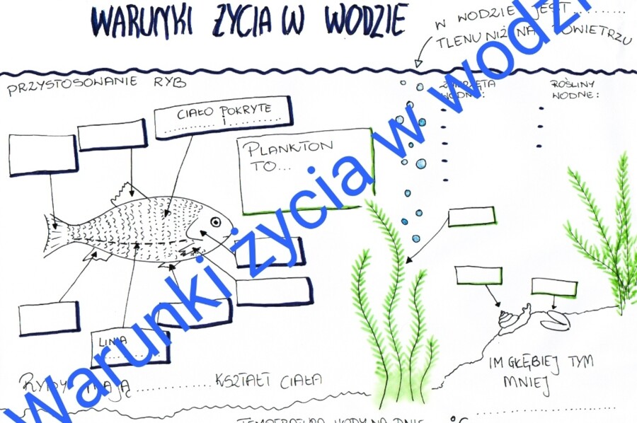 Warunki życia w wodzie