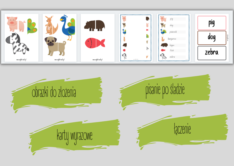 Did you ever see a tail? - materiały do piosenki