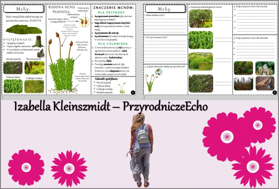 Minizestaw do tematu „Mchy” – sketchnotka + karta pracy w pdf + gratisowy link do prezentacji multimedialnej niekomercyjnej wykonanej w genial.ly do indywidualnego pobrania i użycia do celów niekomercyjnych. Biologia 5, Dział „Różnorodność roślin”.