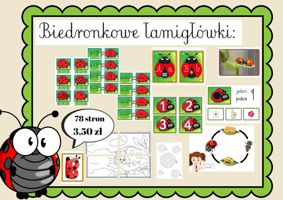 Biedronkowy zawrót głowy