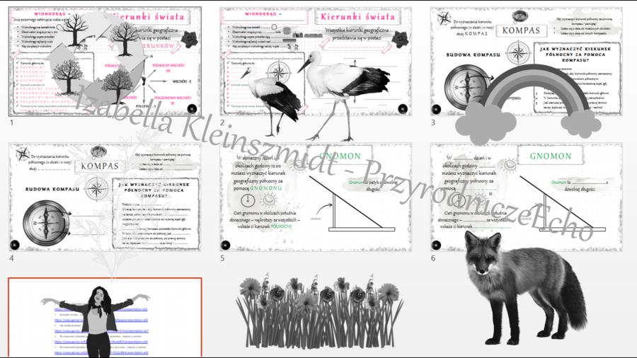 Mini zestaw do tematu „Określamy kierunki geograficzne”– 3 x sketchnotka + 3 x karta pracy + gratisowe linki do prezentacji multimedialnych niekomercyjnych wykonanych w genial.ly do indywidualnego pobrania i użycia do celów niekomercyjnych. Przyroda 4, d