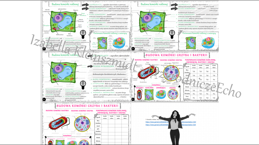 Mini zestaw do tematu „Budowa komórki roślinnej, bakterii i grzyba” - 3 x sketchnotka + 3 x karta pracy + 2 x gratisowy link do prezentacji multimedialnej niekomercyjnej wykonanej w genial.ly do indywidualnego pobrania i użycia do celów niekomercyjnych. 
