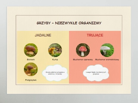 Plakaty. Różnorodność gatunkowa zwierząt, roślin i grzybów.